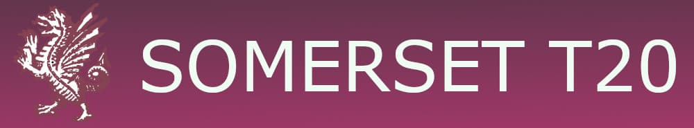 Somerset t20 banner