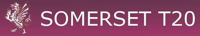 Somerset t20 artwork 4