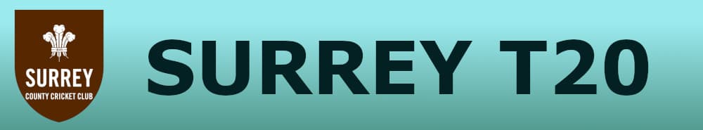 Surrey t20 banner