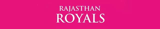Rajasthan Royals artwork 4