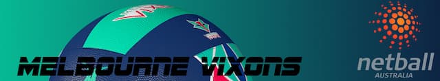 Melbourne Vixens artwork 4