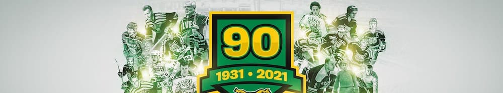 Ilves banner
