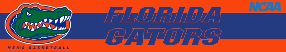 Florida banner