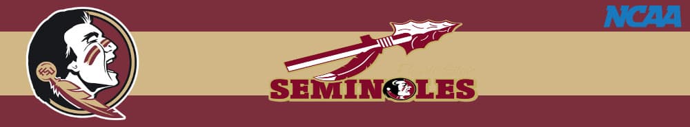 Florida State banner