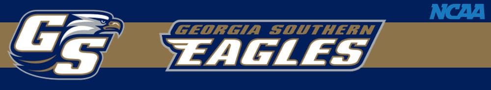Georgia Southern banner