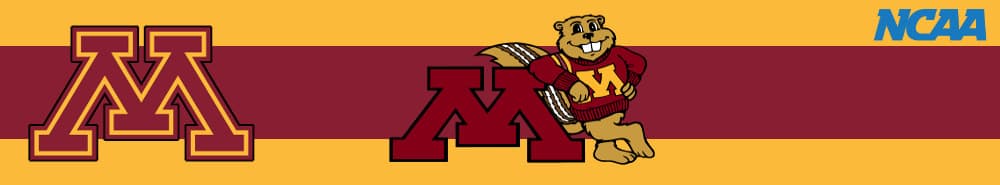 Minnesota banner