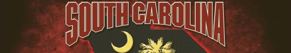 South Carolina banner