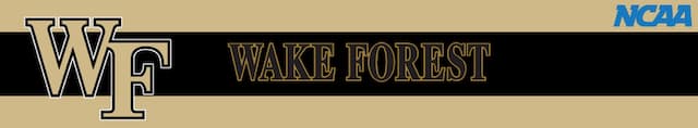 Wake Forest artwork 3