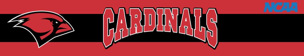 Incarnate Word banner