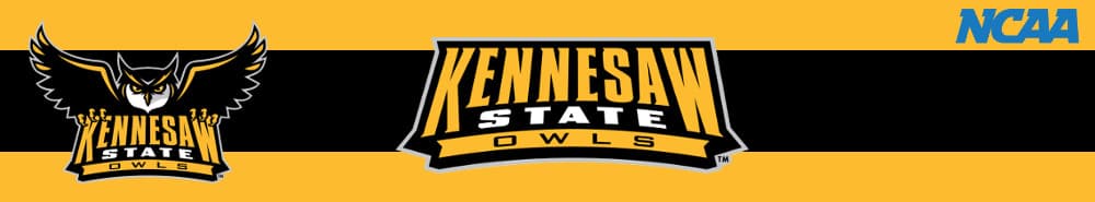 Kennesaw State banner