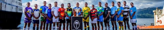 Fiji Rugby artwork 4