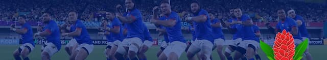 Samoa Rugby artwork 4