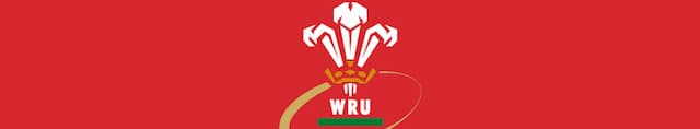 Wales Rugby artwork 4