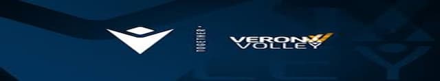 BluVolley Verona artwork 2