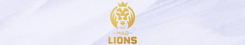 MAD Lions banner