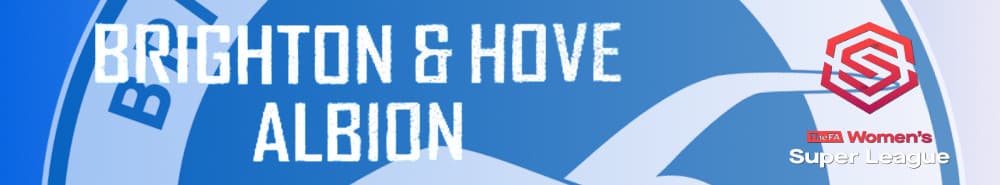 Brighton WFC banner