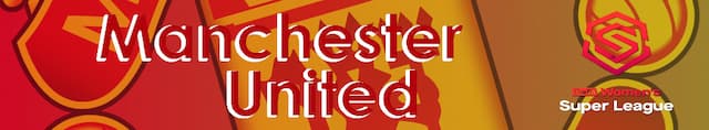 Manchester United WFC artwork 4