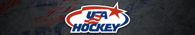 USA Ice Hockey artwork 4