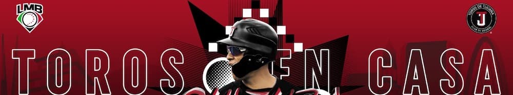 Toros de Tijuana banner