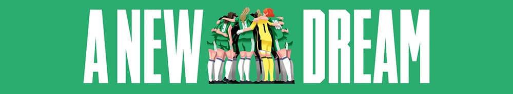 Northern Ireland Women banner