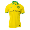 Norwich jersey