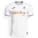 Swansea jersey