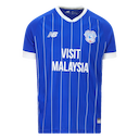 Cardiff jersey