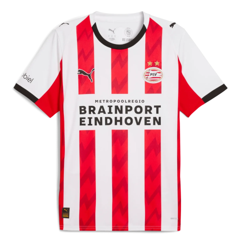 PSV Eindhoven artwork 3