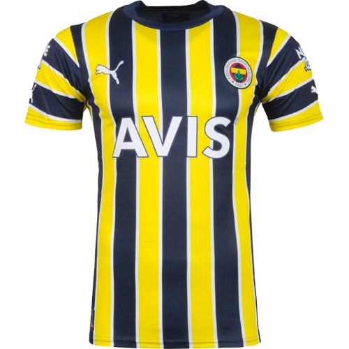 Fenerbahce artwork 3