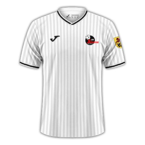 FK Suduva artwork 2
