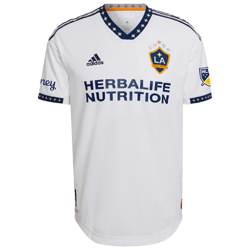 L.A. Galaxy artwork 3