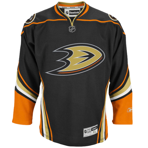 Anaheim Ducks artwork 3