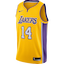 Los Angeles Lakers kit
