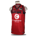 Basket Zaragoza jersey
