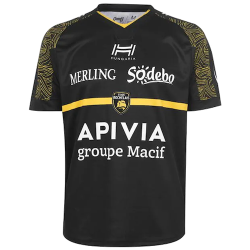 Stade Rochelais artwork 3