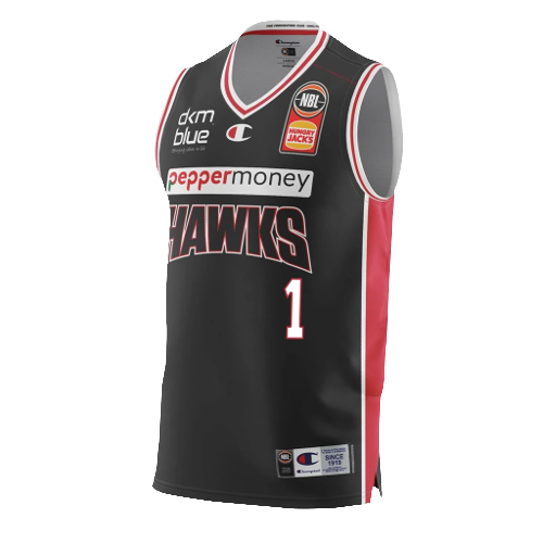 Illawarra Hawks artwork 3
