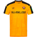 Dynamo Dresden jersey