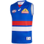 Western Bulldogs kit