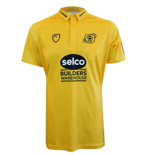 Birmingham Bears artwork 3