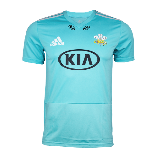 Surrey t20 artwork 3