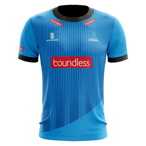 Sussex Sharks artwork 3