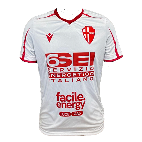 Calcio Padova artwork 3