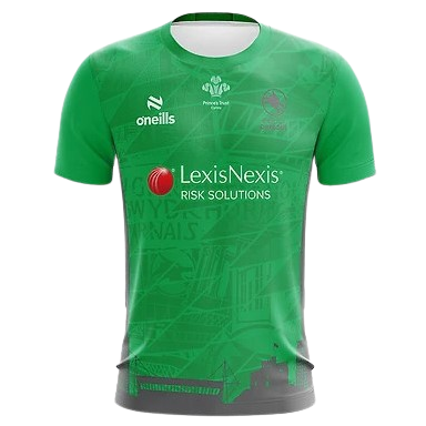 Celtic Dragons artwork 3