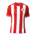 Olympiacos Volleyball jersey