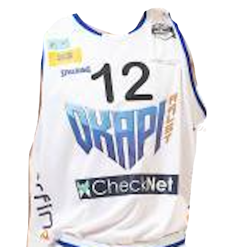 Okapi Aalst artwork 3