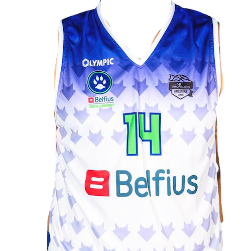 Belfius Mons-Hainaut artwork 3