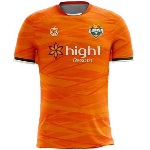 Gangwon FC artwork 2