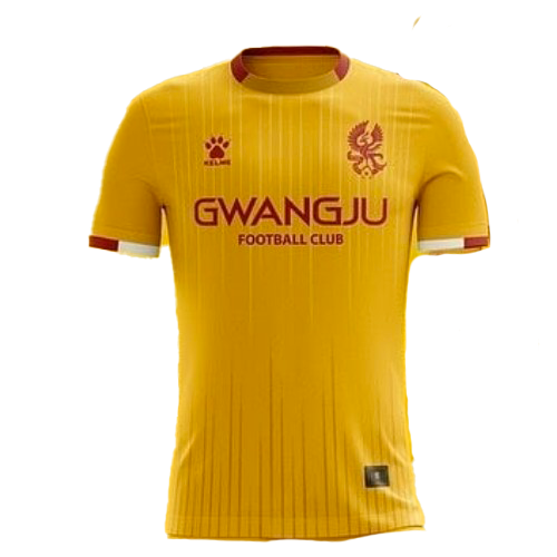Gwangju FC artwork 2