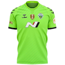 Jeonbuk Hyundai Motors jersey