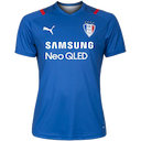 Suwon Samsung Bluewings jersey